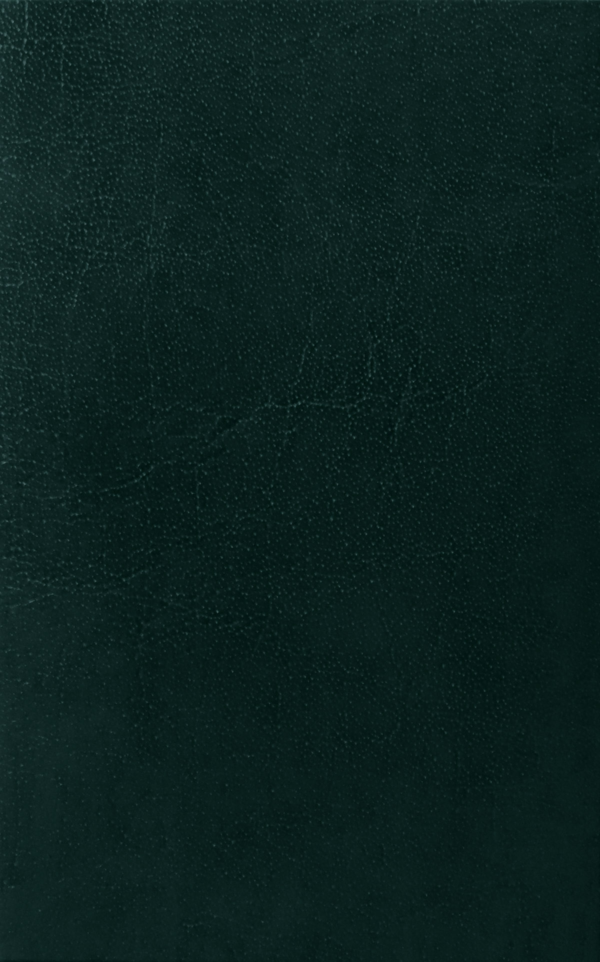 Del Mar bonded leather menu covers Swatch